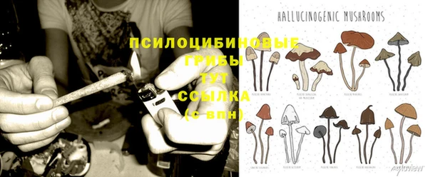 mdma Верхний Тагил