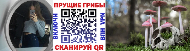 Псилоцибиновые грибы Cubensis Катайск